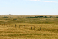 Cheap Trucks For Sale In South Dakota: Your Comprehensive Guide to Affordable Utility