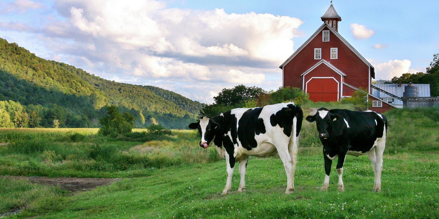 Farm Trucks With Hay Beds For Sale: Your Comprehensive Guide to Hauling Hay Efficiently Farm Trucks With Hay Beds For Sale: Your Comprehensive Guide to Hauling Hay Efficiently