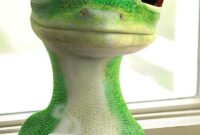 GEICO Rental Truck Insurance: Your Comprehensive Guide