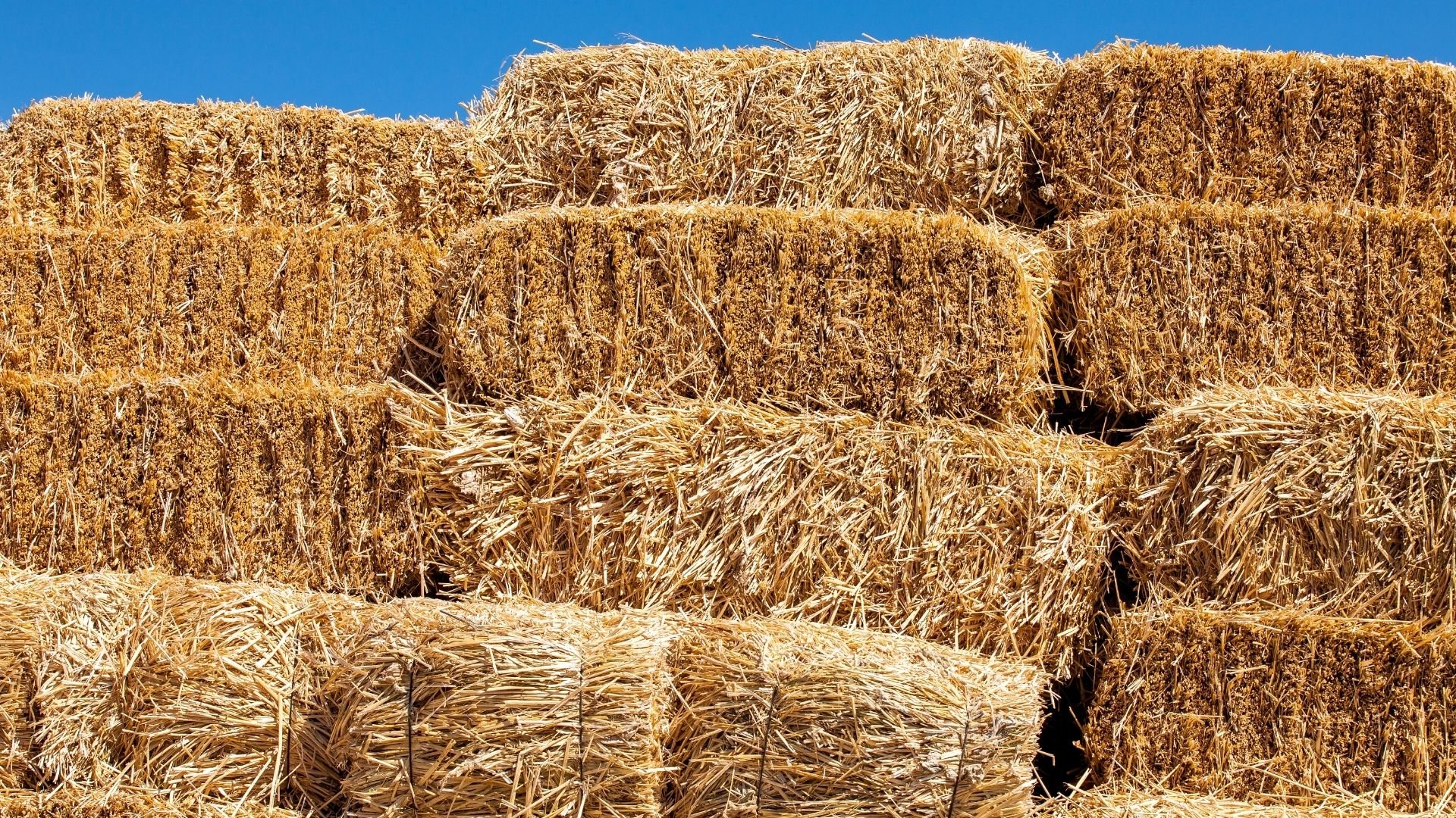 Hay Trucks For Sale In California: Your Comprehensive Guide to Efficient Hay Transport