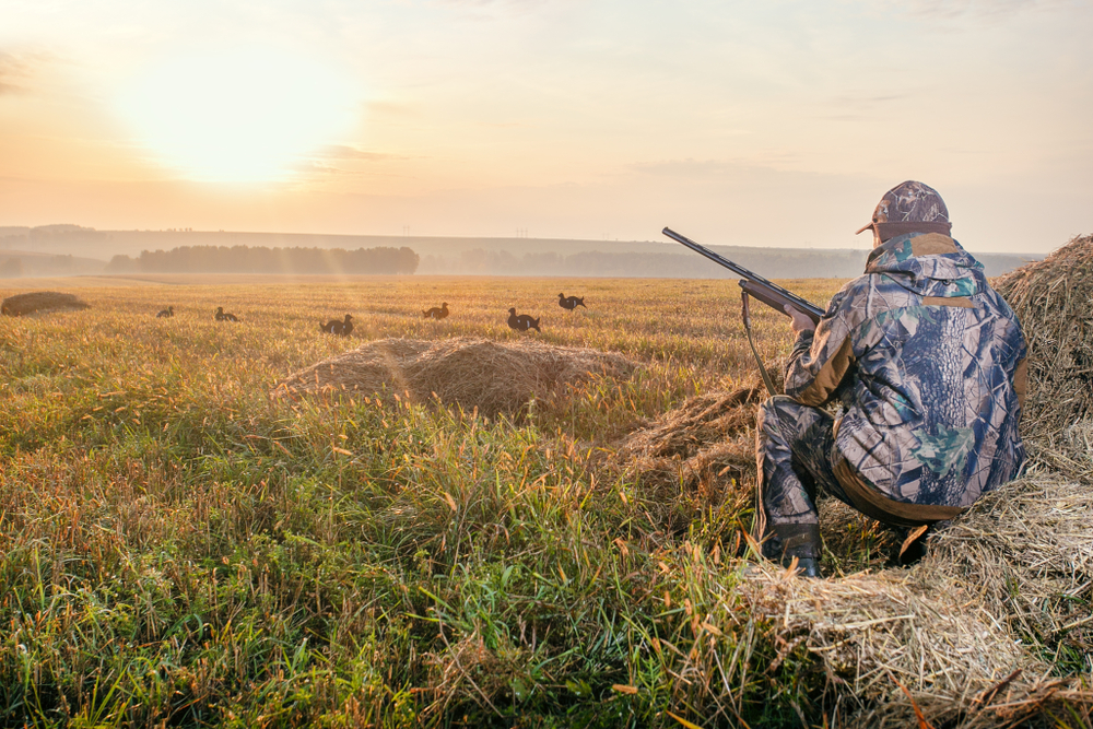 Hunting Trucks for Sale: Your Ultimate Guide to Off-Road Dominance