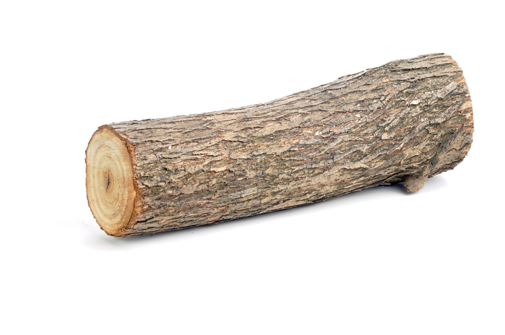 Log Trucks With Loaders For Sale: Your Comprehensive Guide to Maximizing Efficiency in Timber Operations