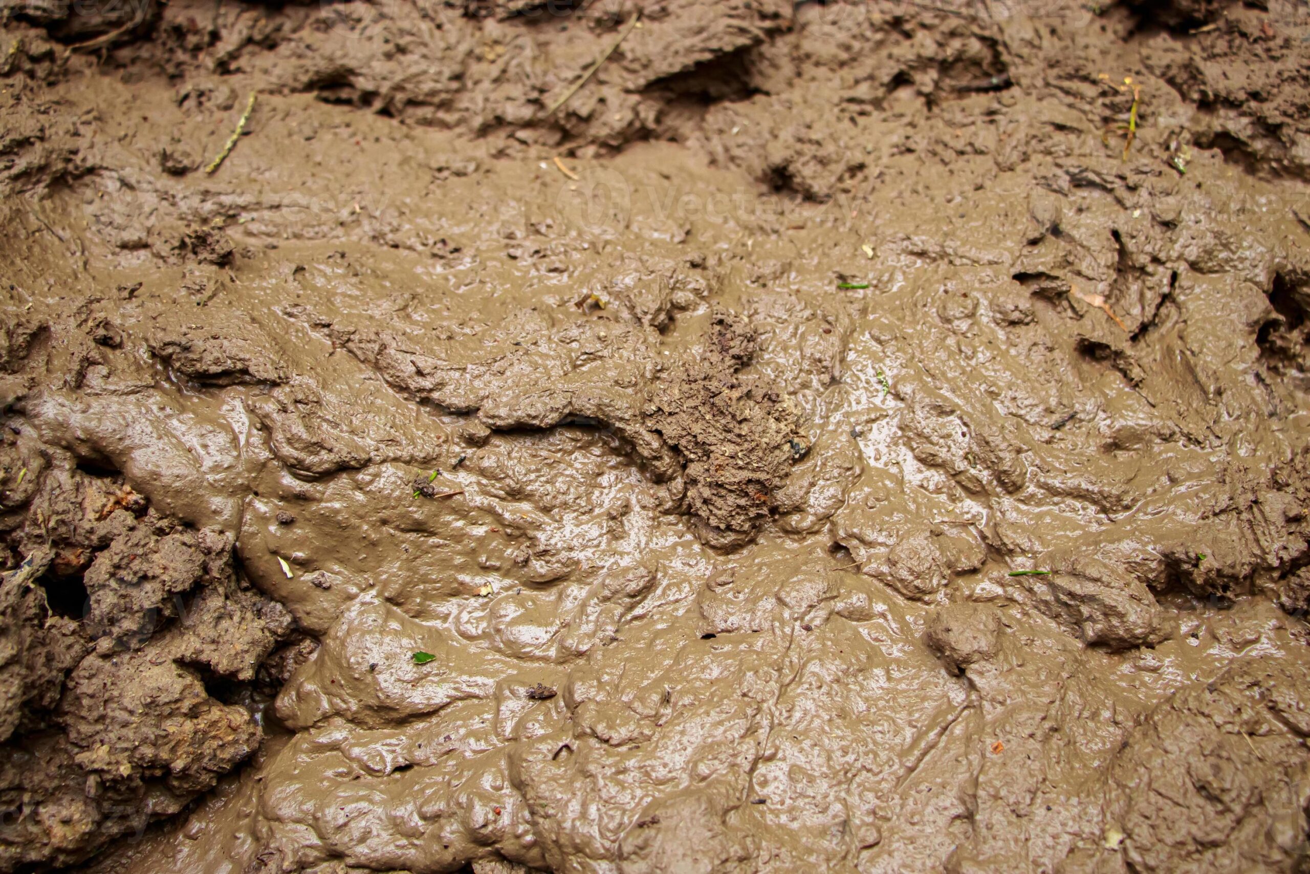 Mud Trucks For Sale Facebook: Your Comprehensive Guide to Buying and Selling Off-Road Beasts