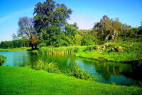 Natural Gas Trucks For Sale: A Comprehensive Buyer’s Guide