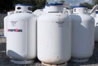Propane Pickup Trucks For Sale: A Comprehensive Guide to Eco-Friendly and Economical Hauling