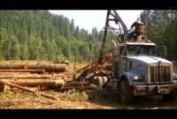 Self-Loading Log Trucks for Sale: Your Comprehensive Guide to Smart Logging Investments