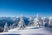 Snow Plow Pickup Trucks For Sale: Your Comprehensive Guide to Conquering Winter