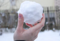 Snowball Trucks For Sale: Your Comprehensive Guide to Conquering Winter